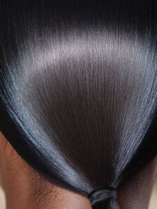 Sleek Ponytail 